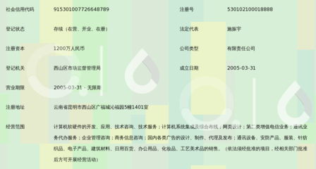 昆明凌宇志達(dá)網(wǎng)絡(luò)科技 專業(yè)信息咨詢服務(wù)驅(qū)動數(shù)字化轉(zhuǎn)型