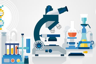 黑坑釣魚小藥自制全攻略 因地制宜調配，精準應對不同魚情